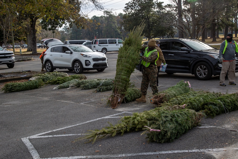 Camp Lejeune receives Christmas trees from Christmas Spirit Foundation