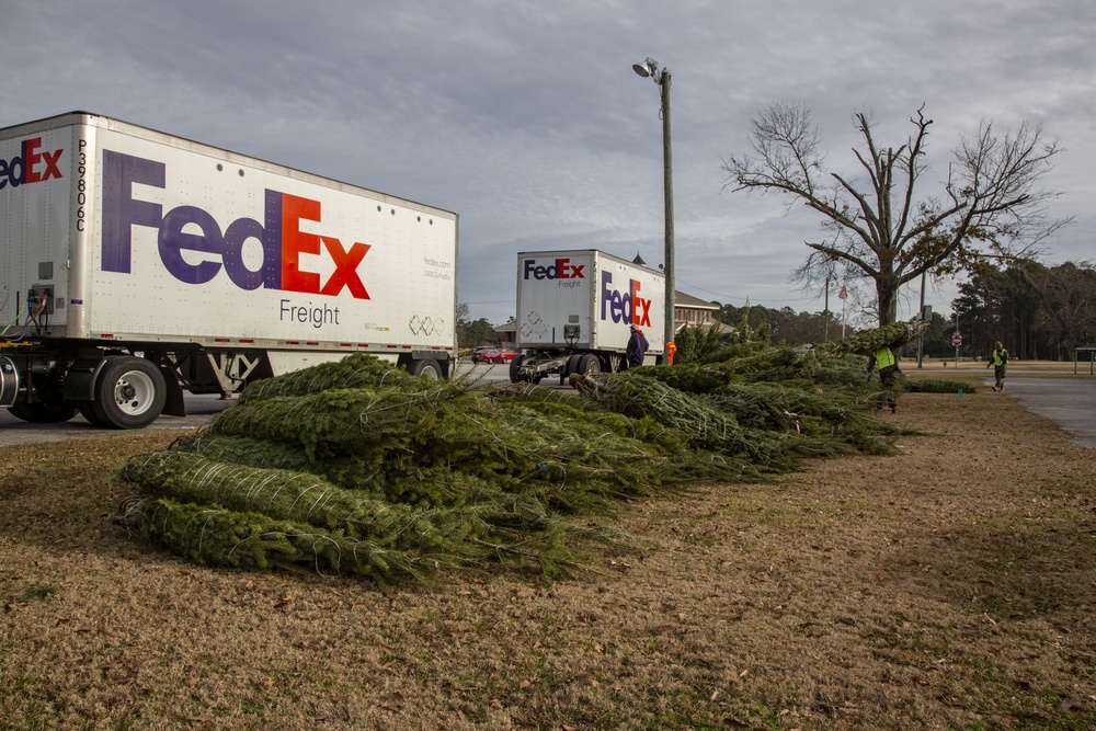 Camp Lejeune receives Christmas trees from Christmas Spirit Foundation