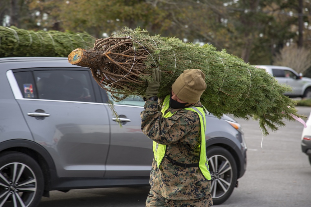 Camp Lejeune receives Christmas trees from Christmas Spirit Foundation