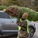 Camp Lejeune receives Christmas trees from Christmas Spirit Foundation