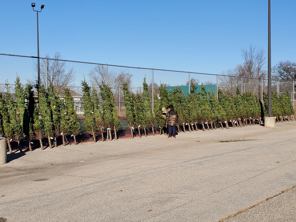 Trees for Troops 2020 brings 80 trees for military families at Fort McCoy