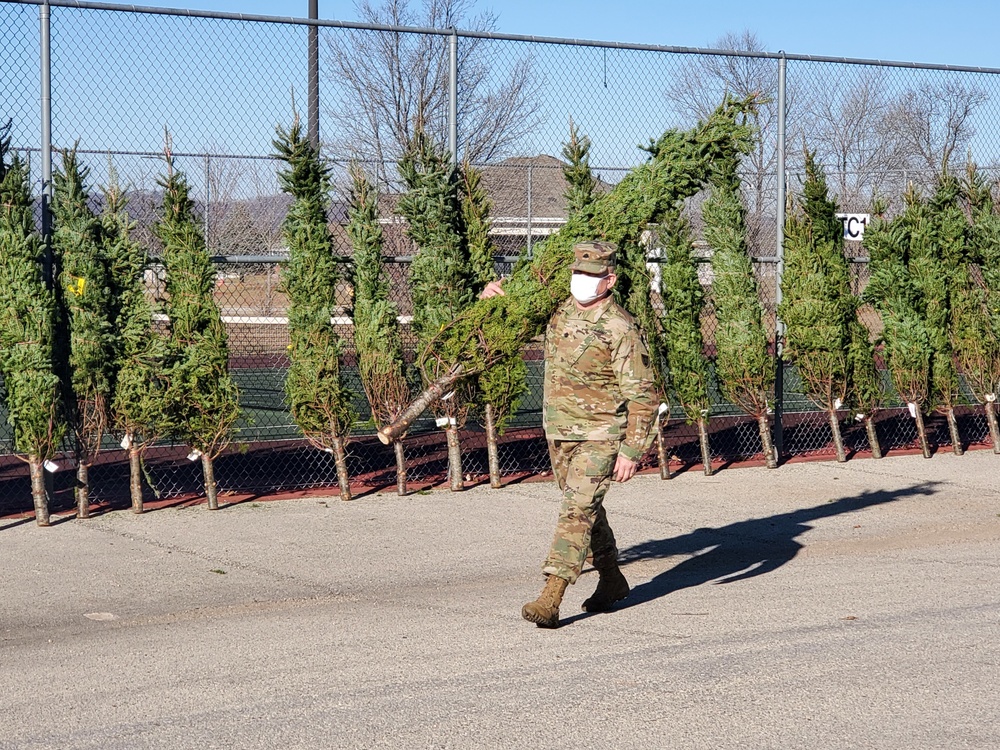 Trees for Troops 2020 brings 80 trees for military families at Fort McCoy