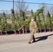 Trees for Troops 2020 brings 80 trees for military families at Fort McCoy