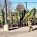 Trees for Troops 2020 brings 80 trees for military families at Fort McCoy