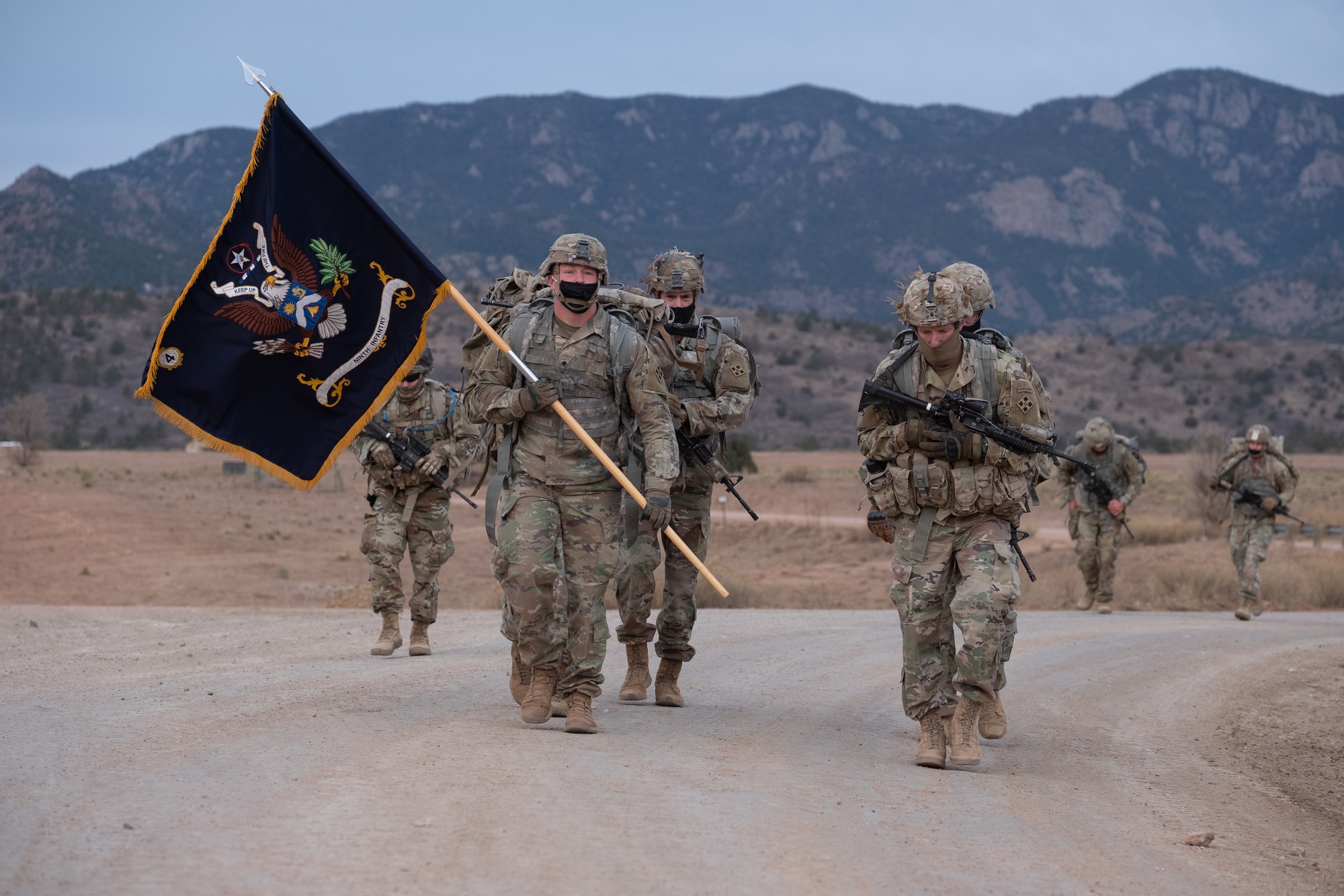 9th infantry division flag