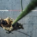 15th MEU Marines, Sailors conduct fast-rope training aboard USS Makin Island