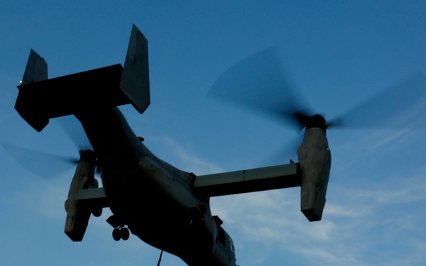 Forest Light: CLB-4 and VNM-265 conducts an HST is support of 3/8