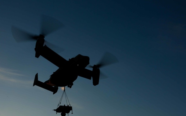 Forest Light: CLB-4 and VNM-265 conducts an HST is support of 3/8