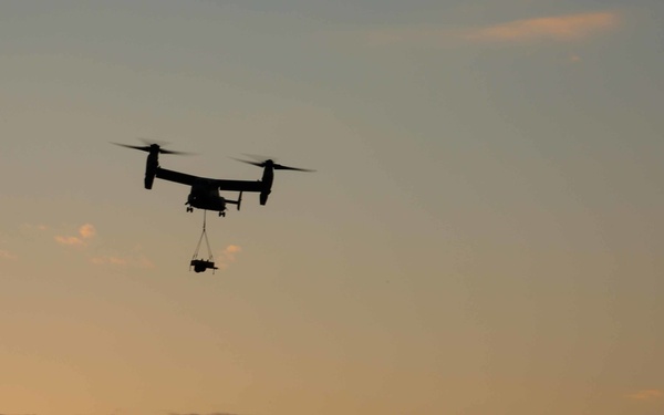 Forest Light: CLB-4 and VNM-265 conducts an HST is support of 3/8