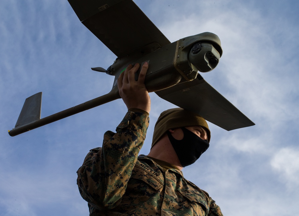 3/8 and JGSDF work together to command and control the troops of exercise Forest Light 21