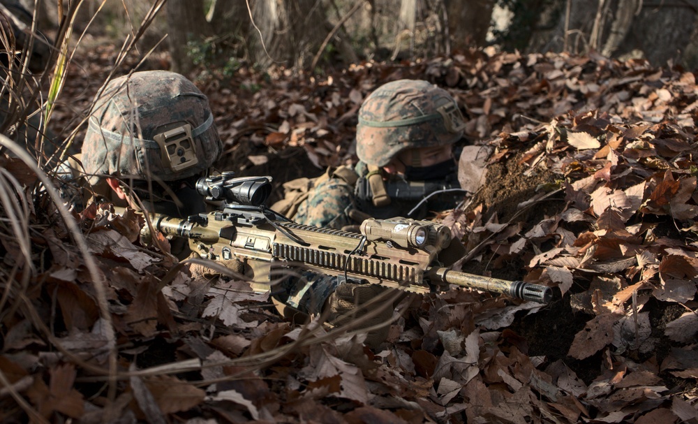 JGSDF, U.S. Marines conduct integrated defense at Forest Light