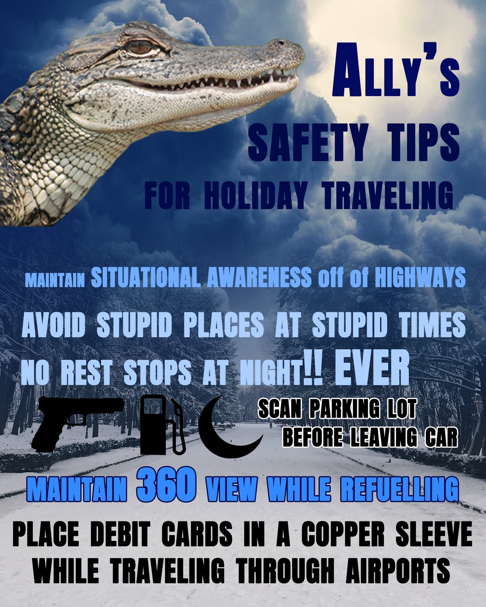 Ally's Safety Tips