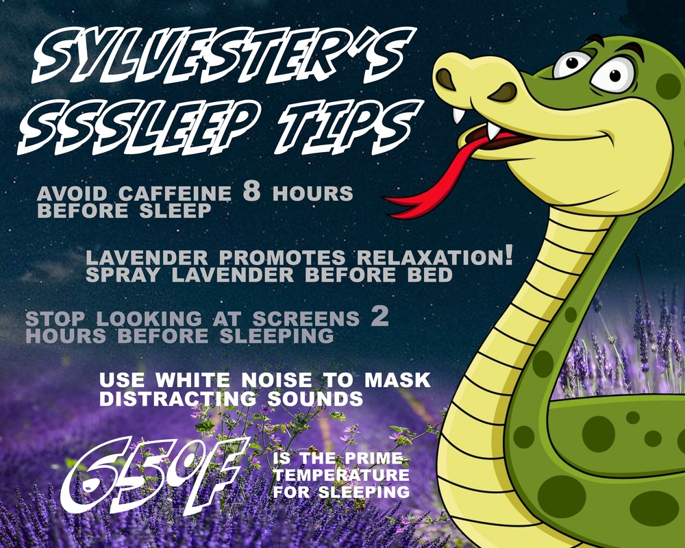 Sylvester's Sssleep Tips