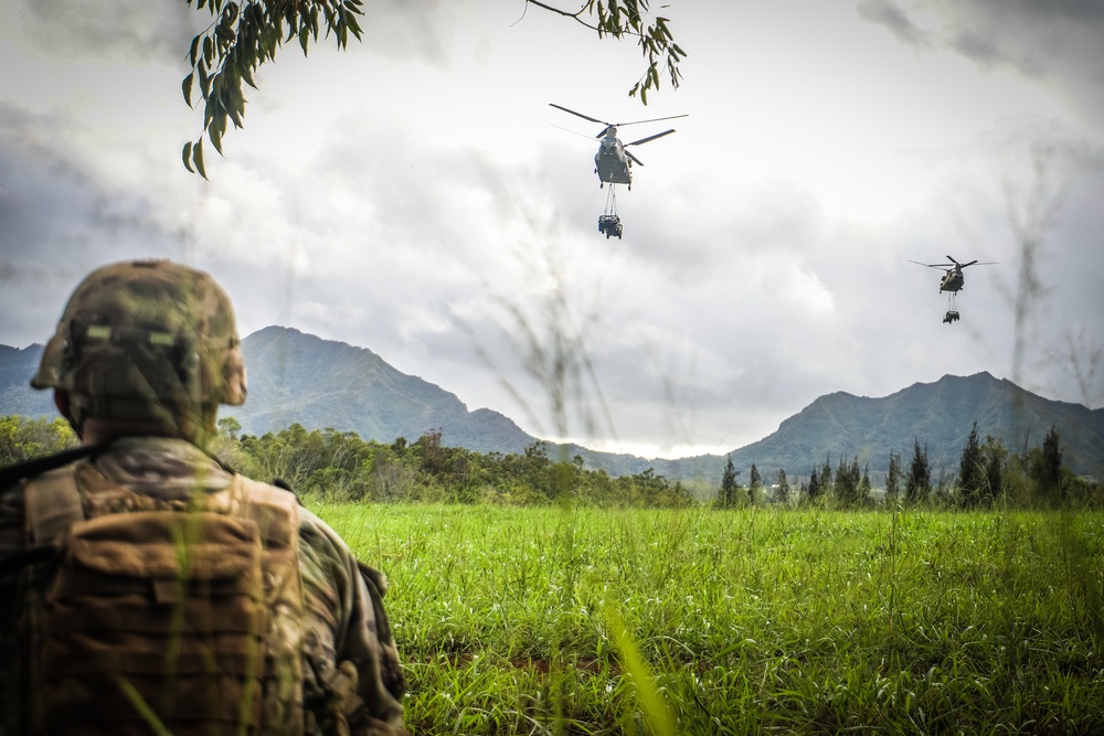 25th Infantry Division Artillery joint operation “WARDOG KILA” with Marines