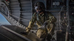 Forest Light 21 Flight Formation