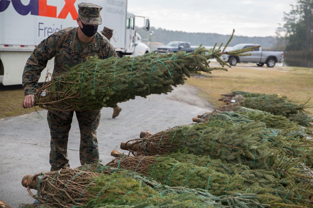 Trees for Troops 2020