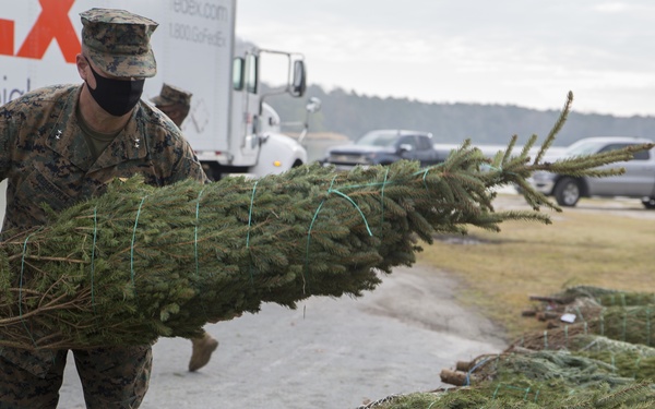 Trees for Troops 2020