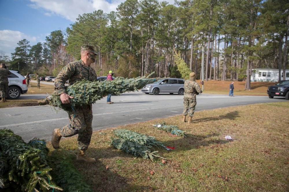 Trees for Troops 2020
