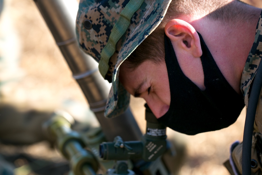 Forest Light: M224 60mm Lightweight Mortar Demonstration