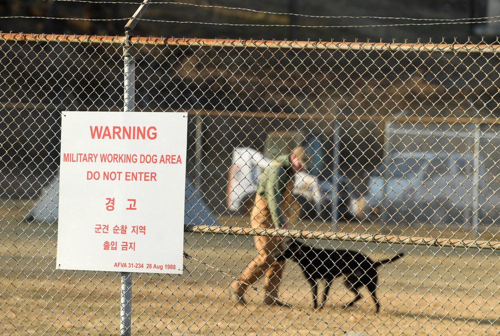 K-9 Demonstration