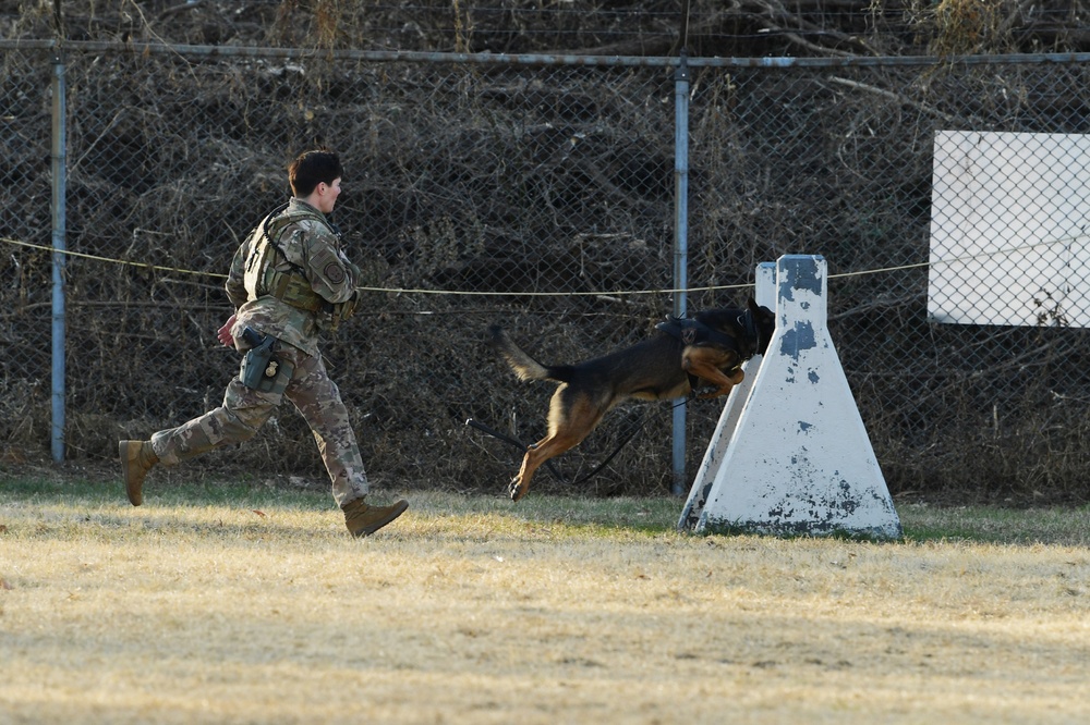 K-9 Demonstration