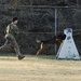 K-9 Demonstration