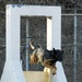 K-9 Demonstration