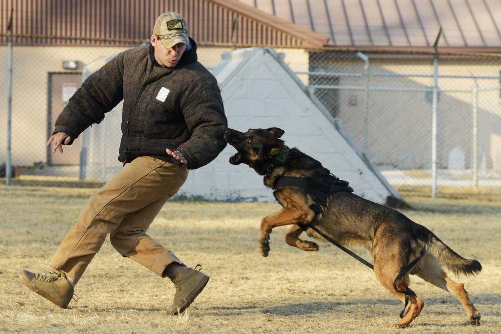 K-9 Demonstration