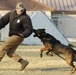 K-9 Demonstration