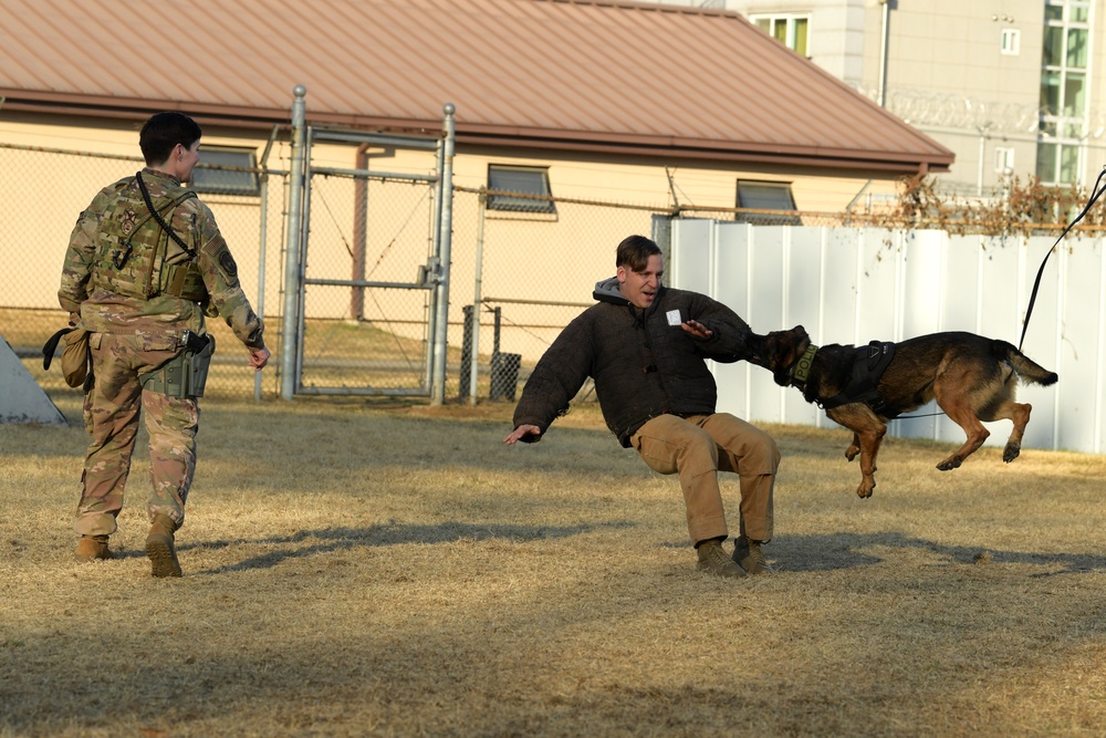 K-9 Demonstration