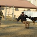 K-9 Demonstration