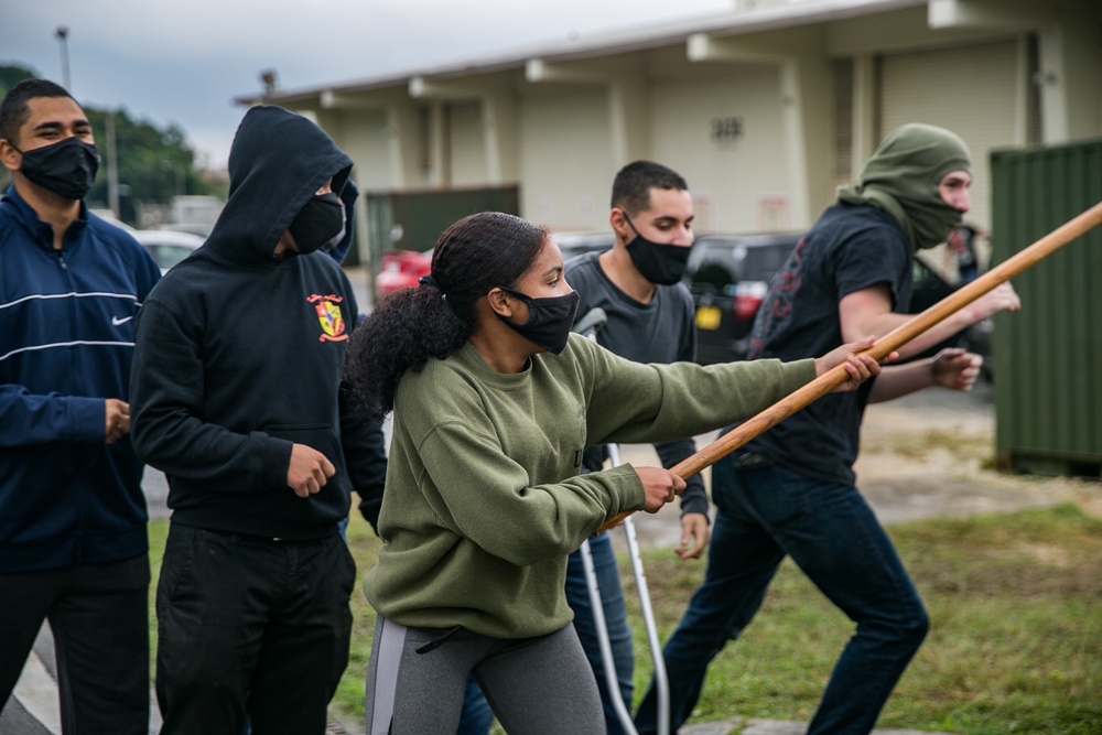 BLT 3/4, 31st MEU conducts simulated embassy reinforcement