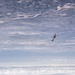 Laughlin AFB - Producing 21,000 Pilots and Counting