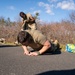 Service Members Develop Physical and Mental Fitness at the Jones Beach COVID-19 test site