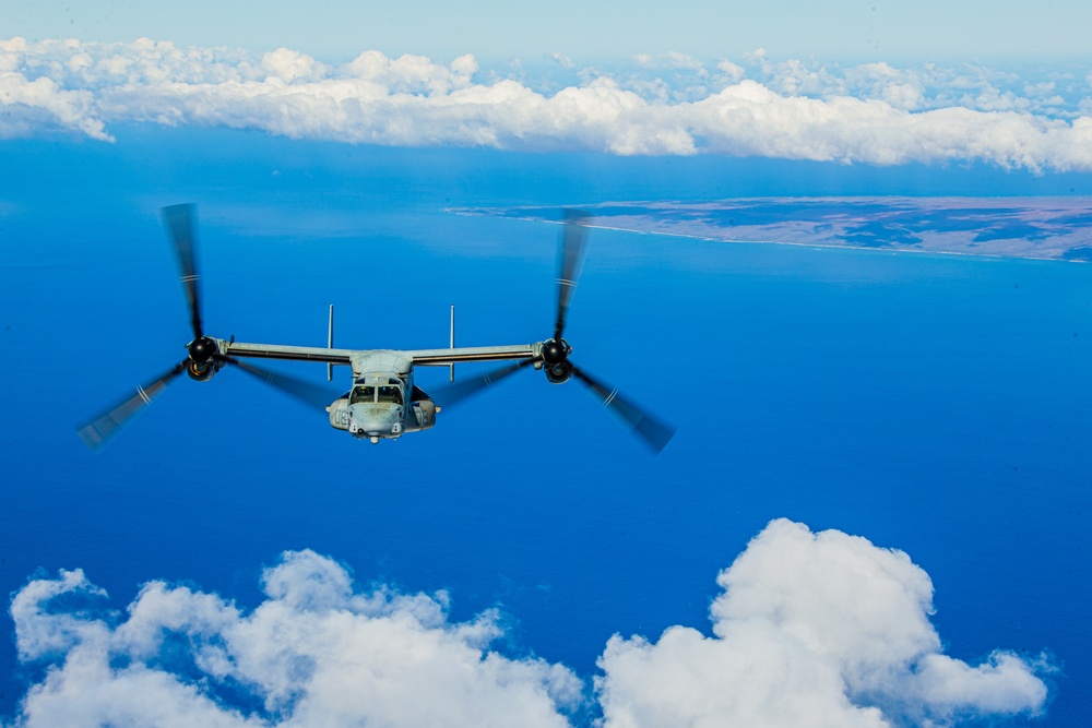 VMM-268 &amp; 4th Recon: Kona Toys for Tots delivery