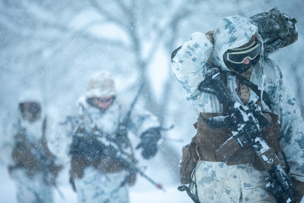 Marines with 3/8 and JGSDF personnel conduct the final training of Forest Light