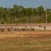 Marine Corps leaders view company level training capabilities at Camp Lejeune’s new Company Assault Range G-36