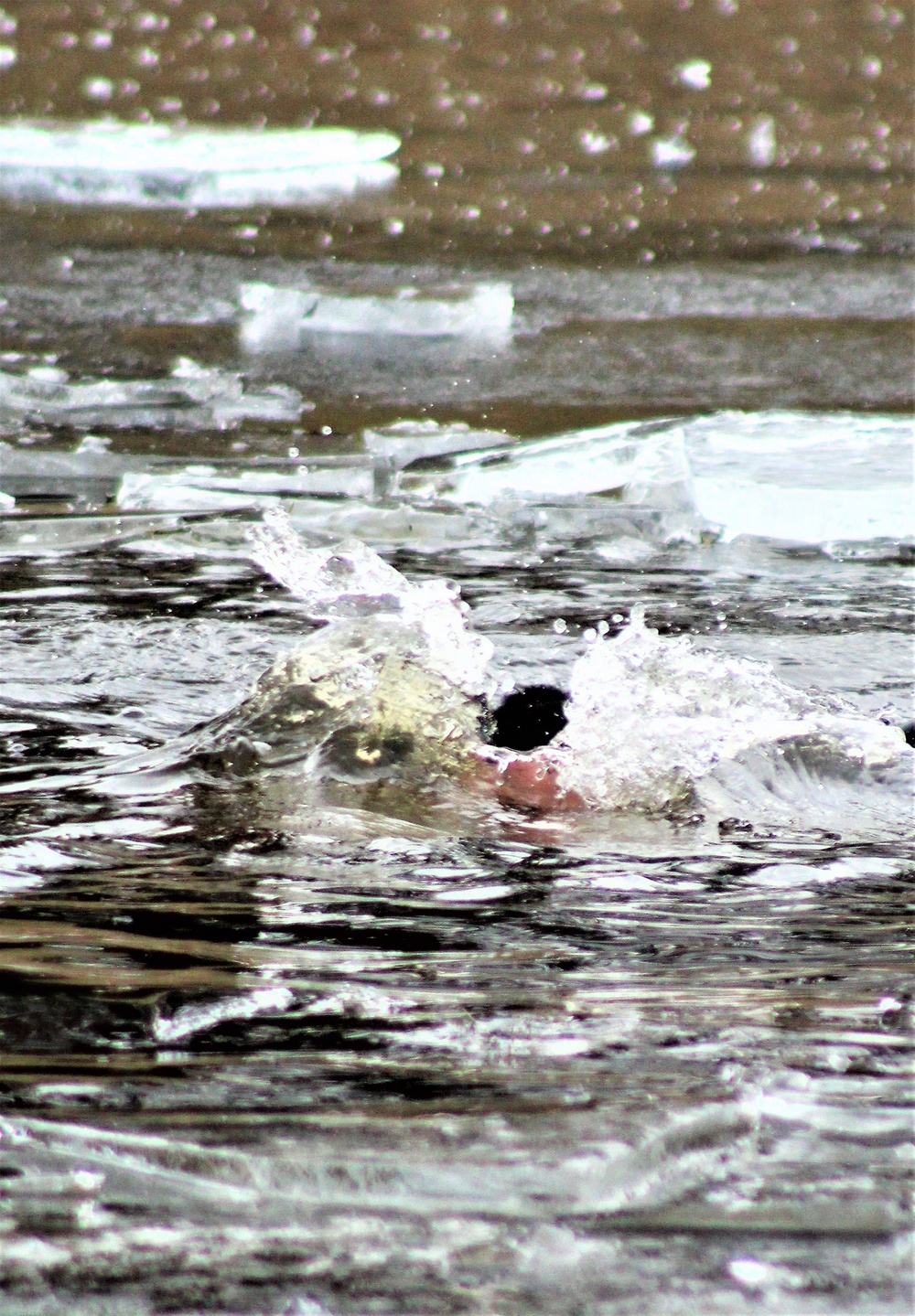 Soldiers participate in cold-water immersion event during CWOC training at Fort McCoy