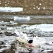 Soldiers participate in cold-water immersion event during CWOC training at Fort McCoy