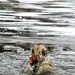 Soldiers participate in cold-water immersion event during CWOC training at Fort McCoy