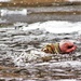 Soldiers participate in cold-water immersion event during CWOC training at Fort McCoy