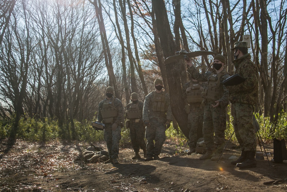 Forest Light: Aerial ISR Exchange