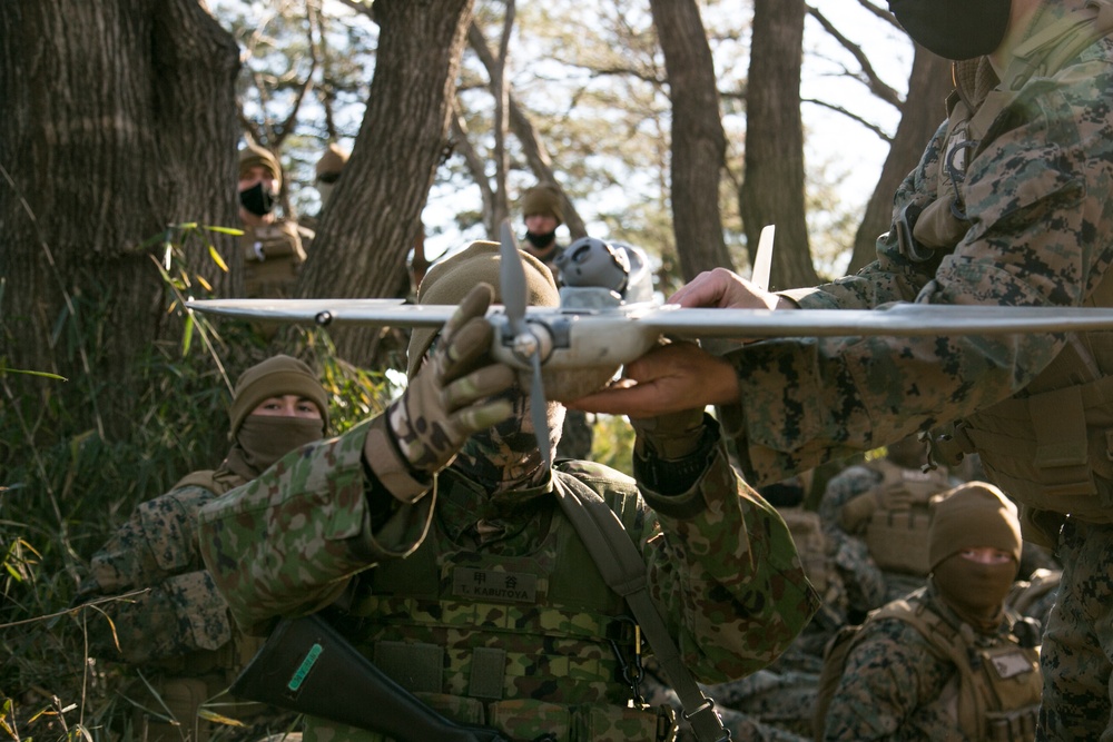 Forest Light: Aerial ISR Exchange