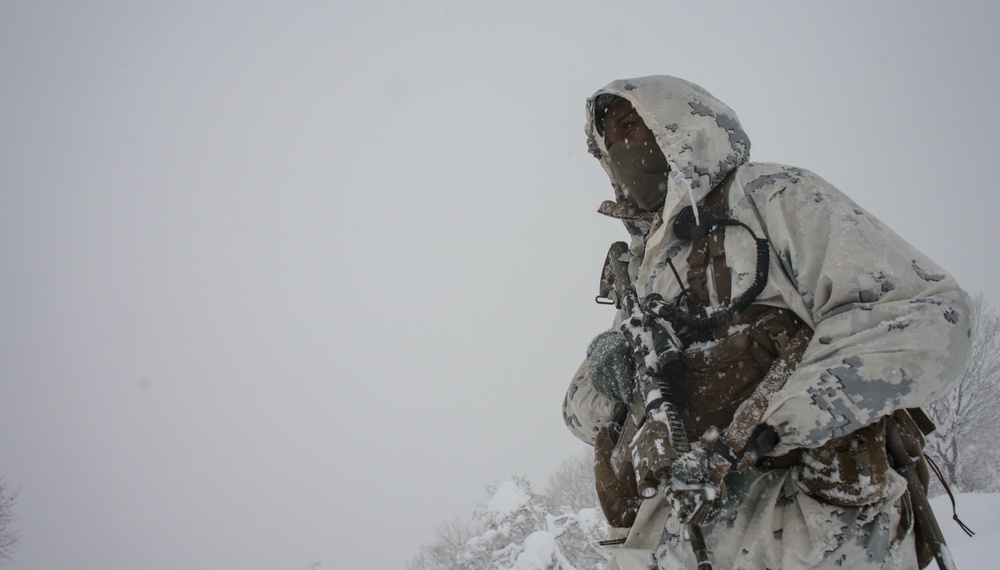 U.S. Marines, JGSDF fight through snowstorm in Forest Light