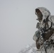 U.S. Marines, JGSDF fight through snowstorm in Forest Light