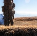 U.S. Marines participate in a live-fire squad attack range during exercise Fuji Viper 21.1