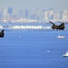 U.S. Army Aviation Battalion Japan participates in rehearsal flight with JGSDF