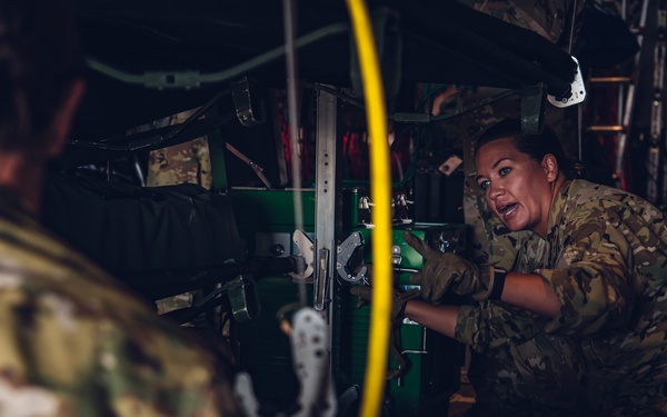 379th EAES provide medical evacuations