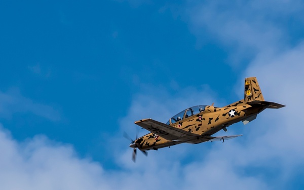 Cookie Monster Nom, Nom, Nom