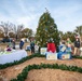 Happy Holidays - Tree lighting ushers in yuletide season